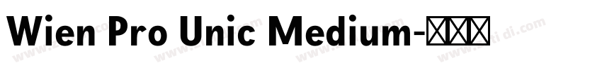 Wien Pro Unic Medium字体转换